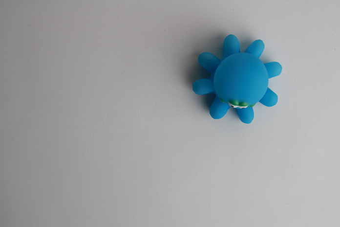 reversible octopus names