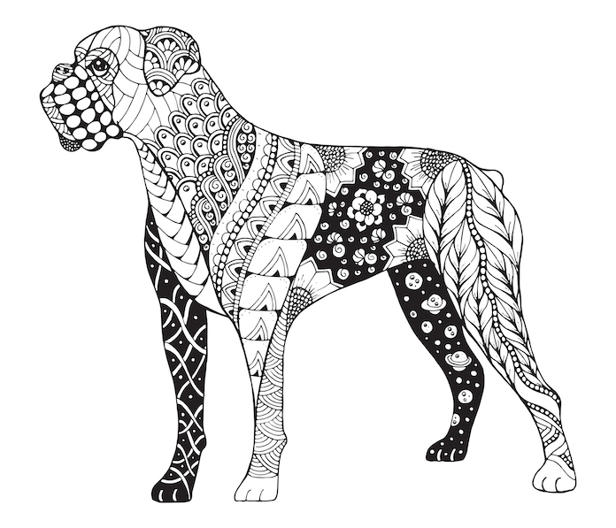 zen dog names for naming your dog 2
