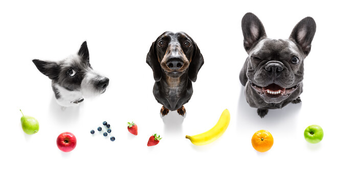 vegan or fruit names for a dog