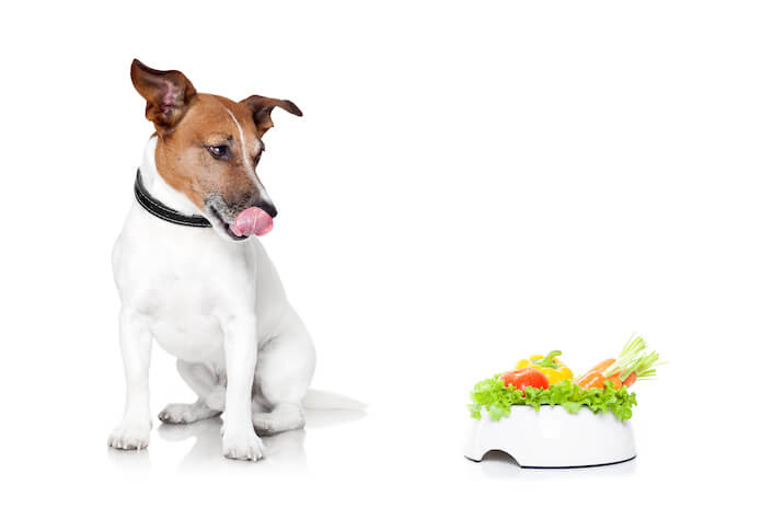vegan inspired dog names