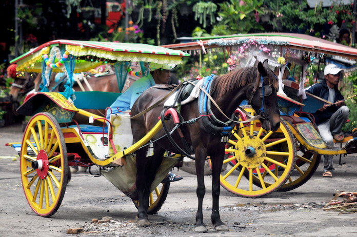 Mexican horse names