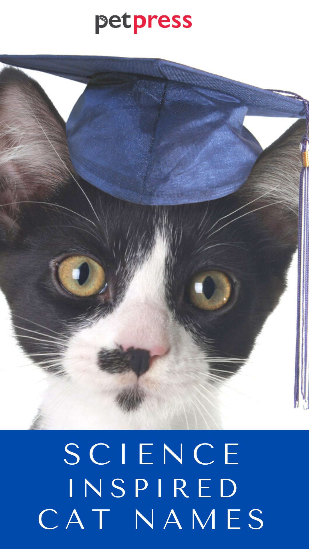 science-cat-names