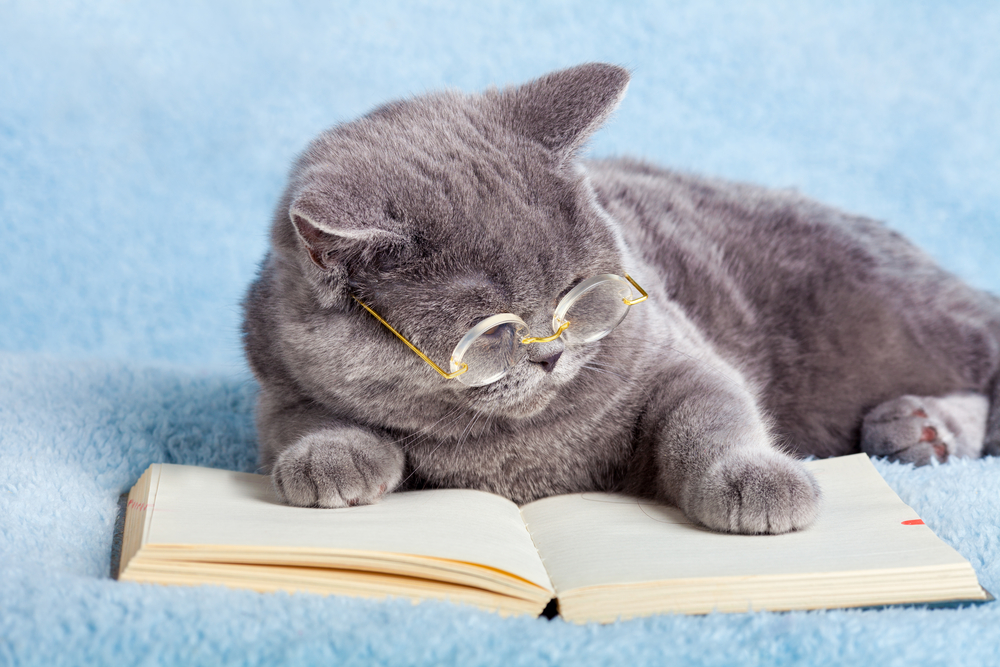 science-cat-names