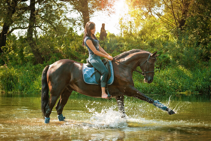 Badass Horse Names For A Female Horse