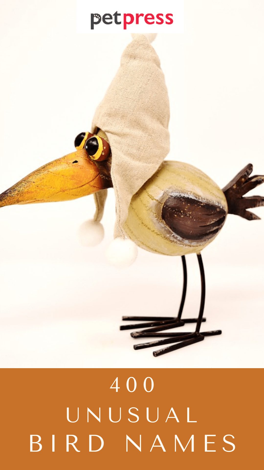 unusual-bird-names
