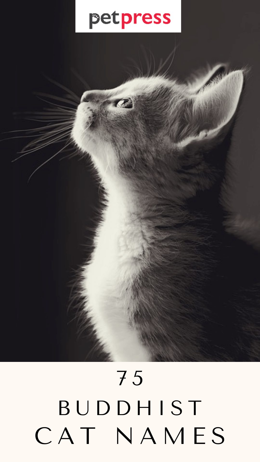 buddhist-cat-names