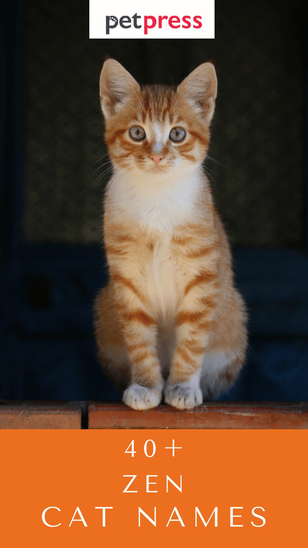 zen-cat-names