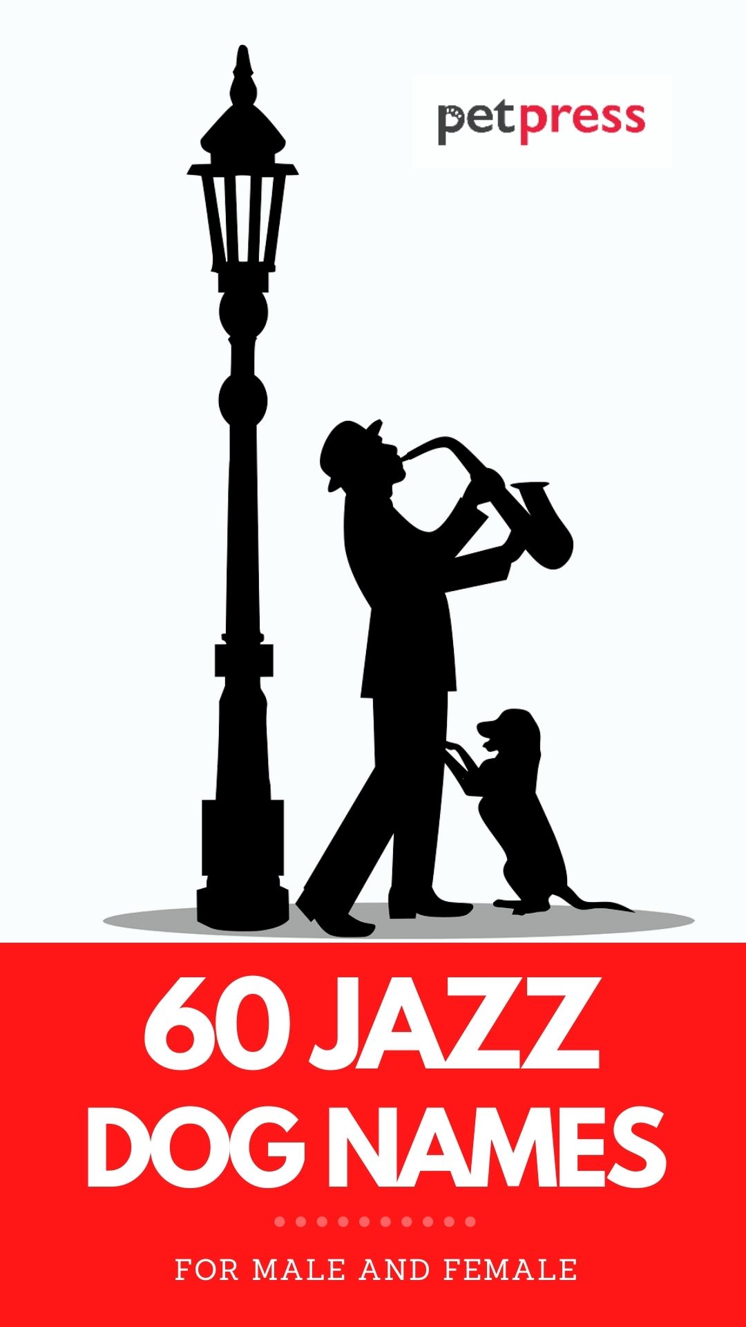 60 jazz dog names for naming your pup