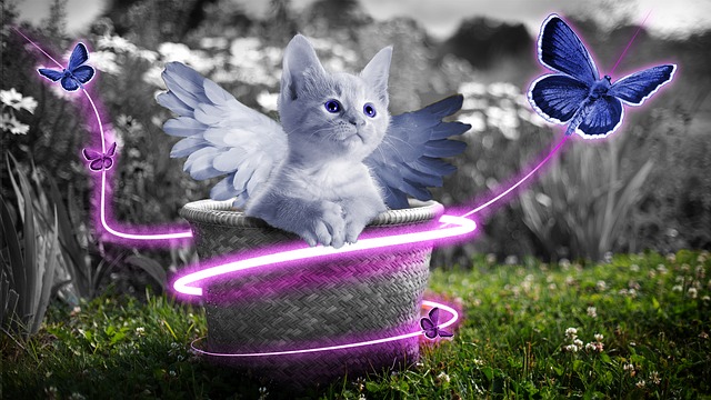 angelic-unisex-cat-names