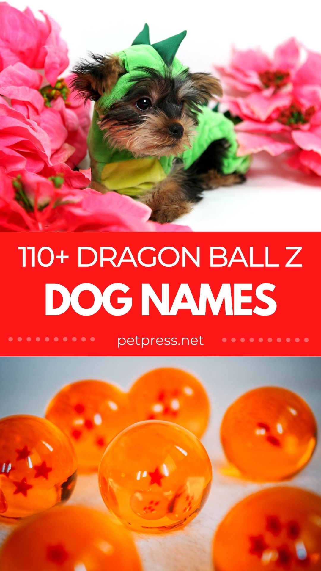 dragon ball dog names