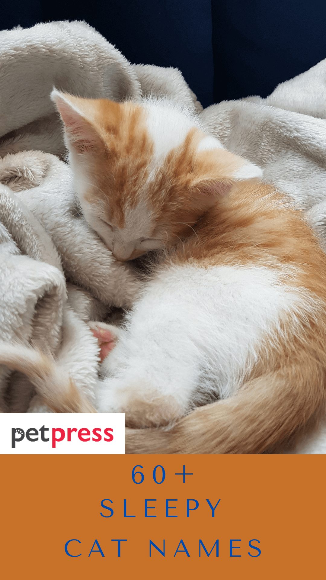 sleepy-cat-names