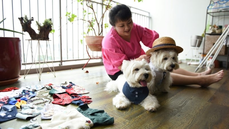 Pet-Influencers