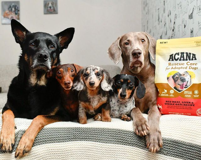 harlowandsage