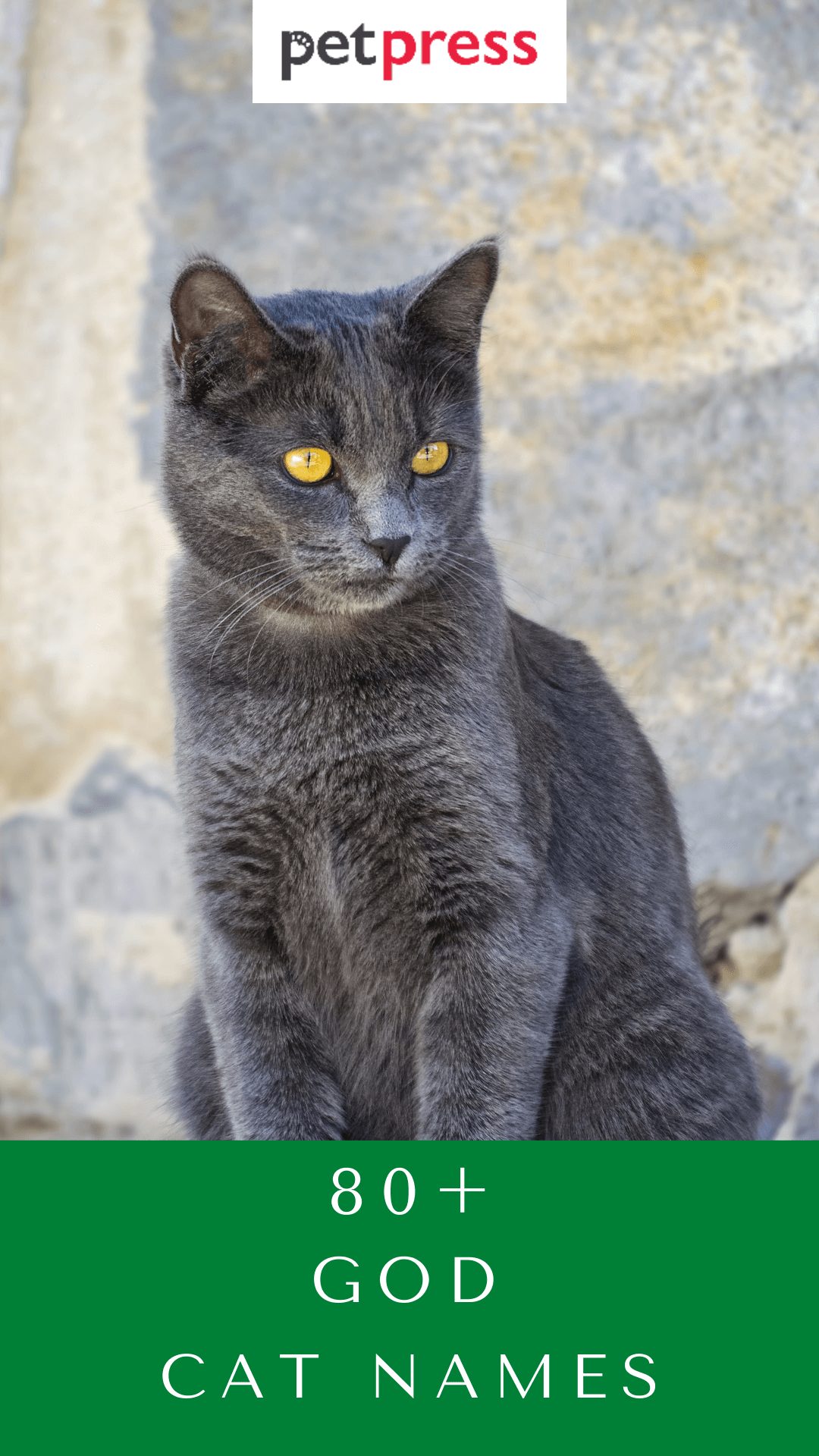god-cat-names