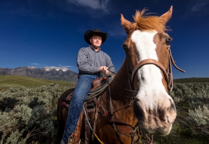 Best Ranch Horse Names