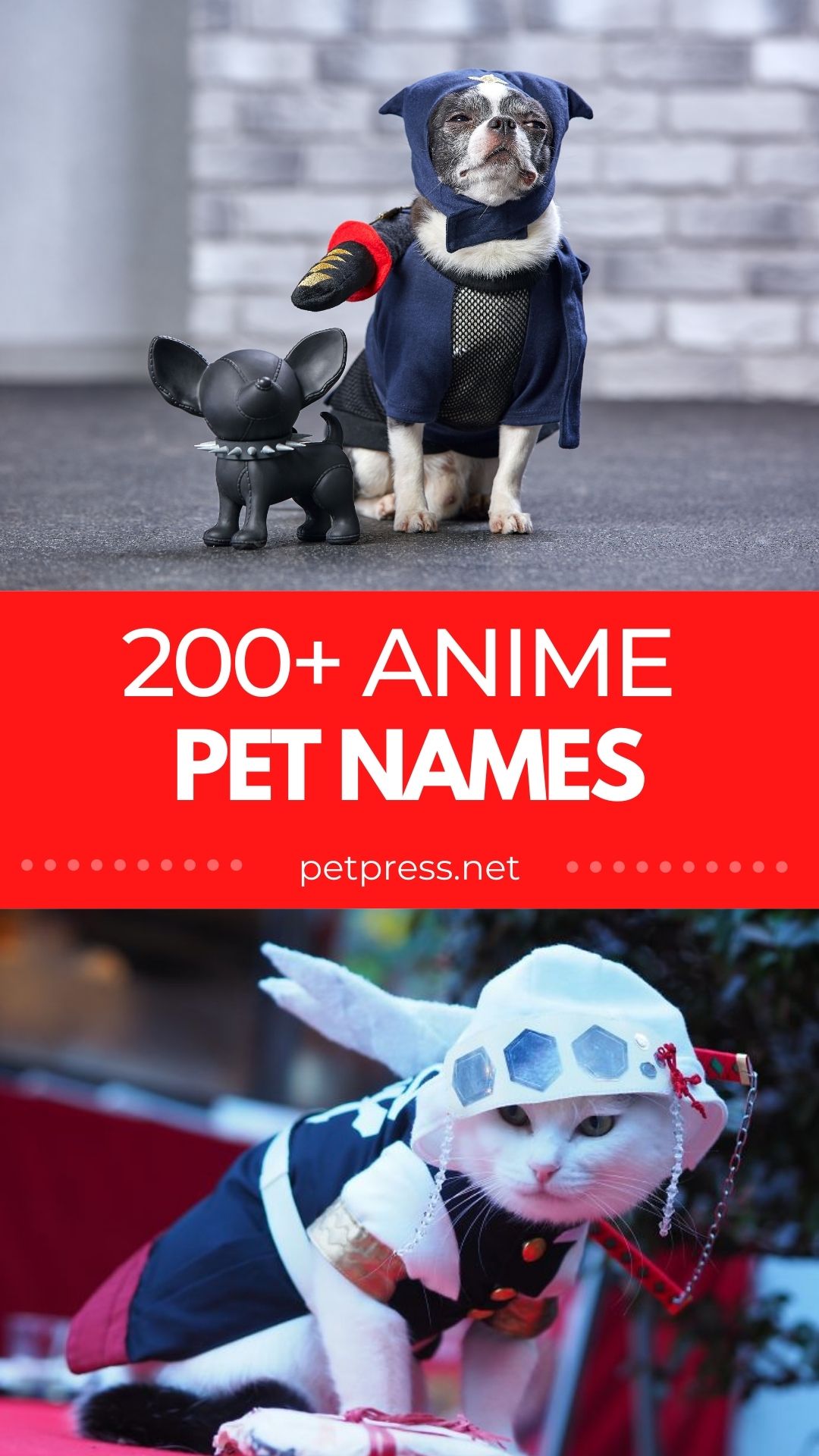 anime pet names
