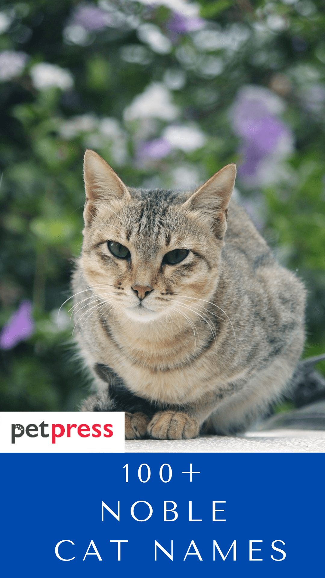 noble-cat-names