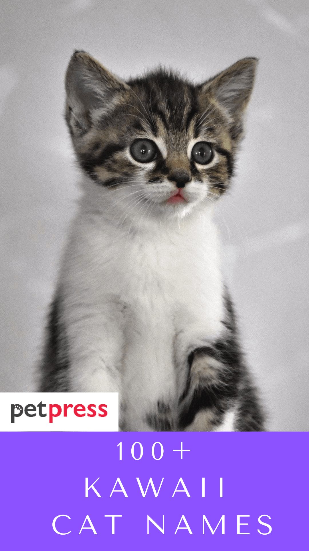 kawaii-cat-names