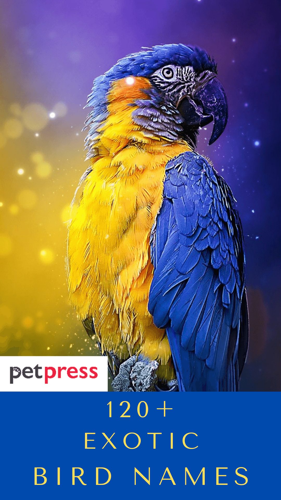 exotic-bird-names