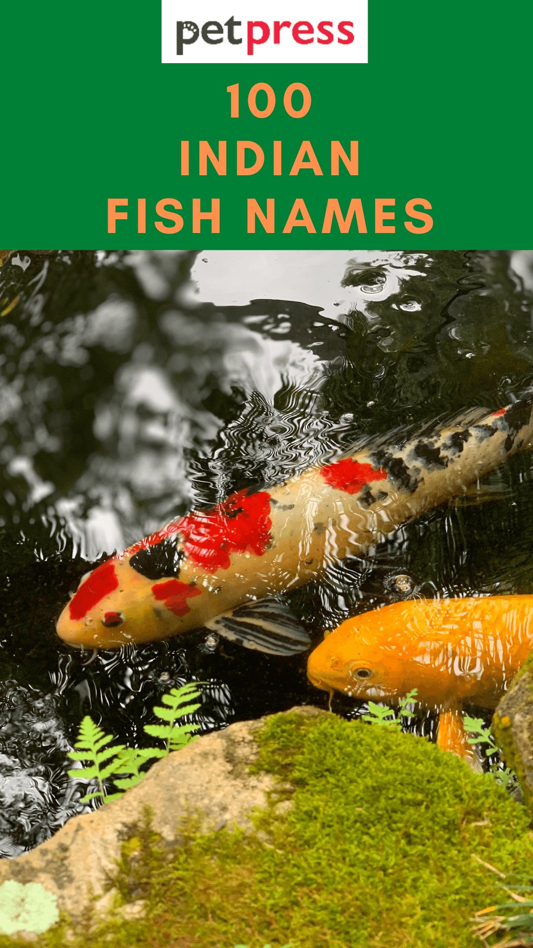 indian-fish-names