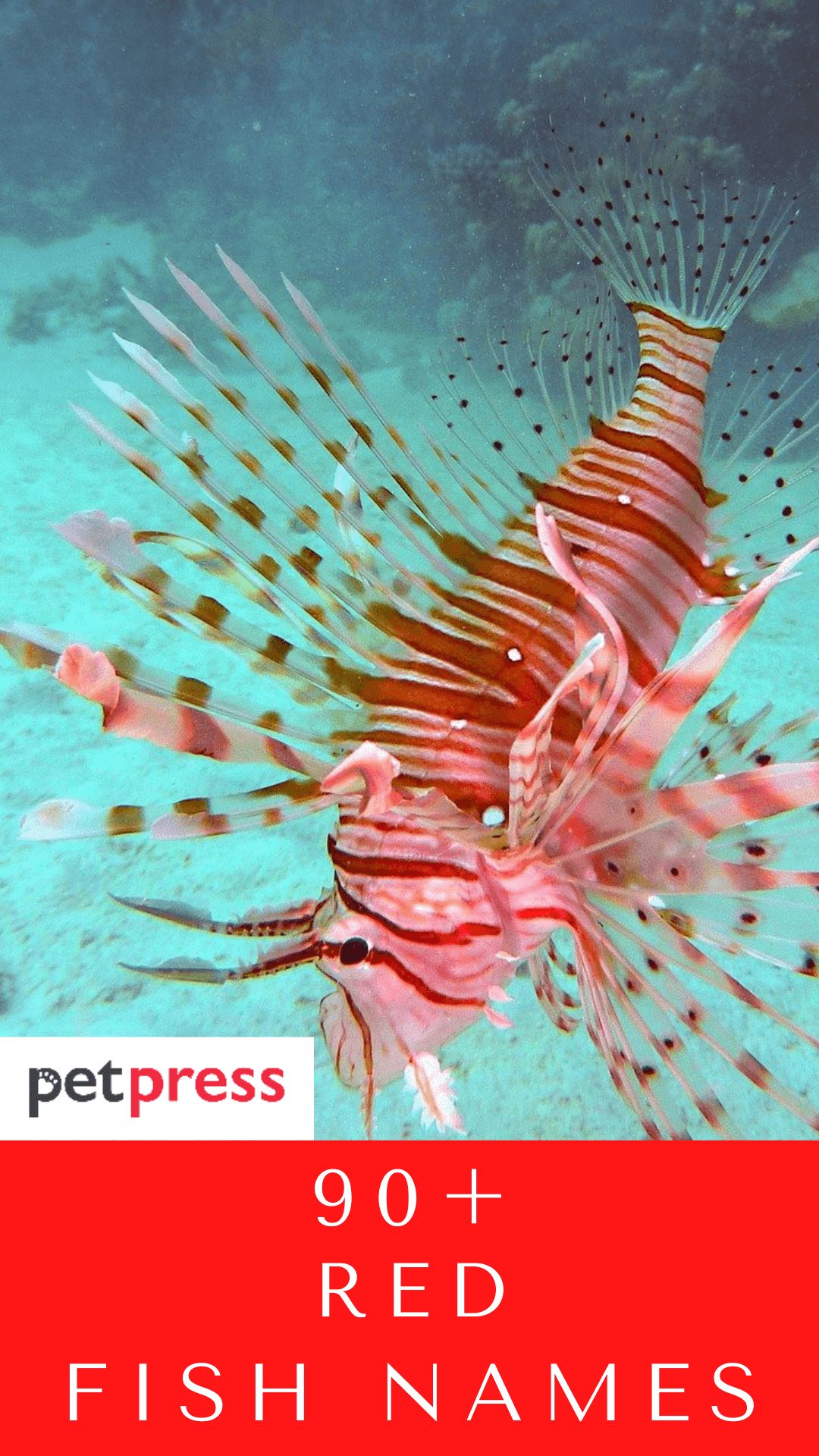 red-fish-names
