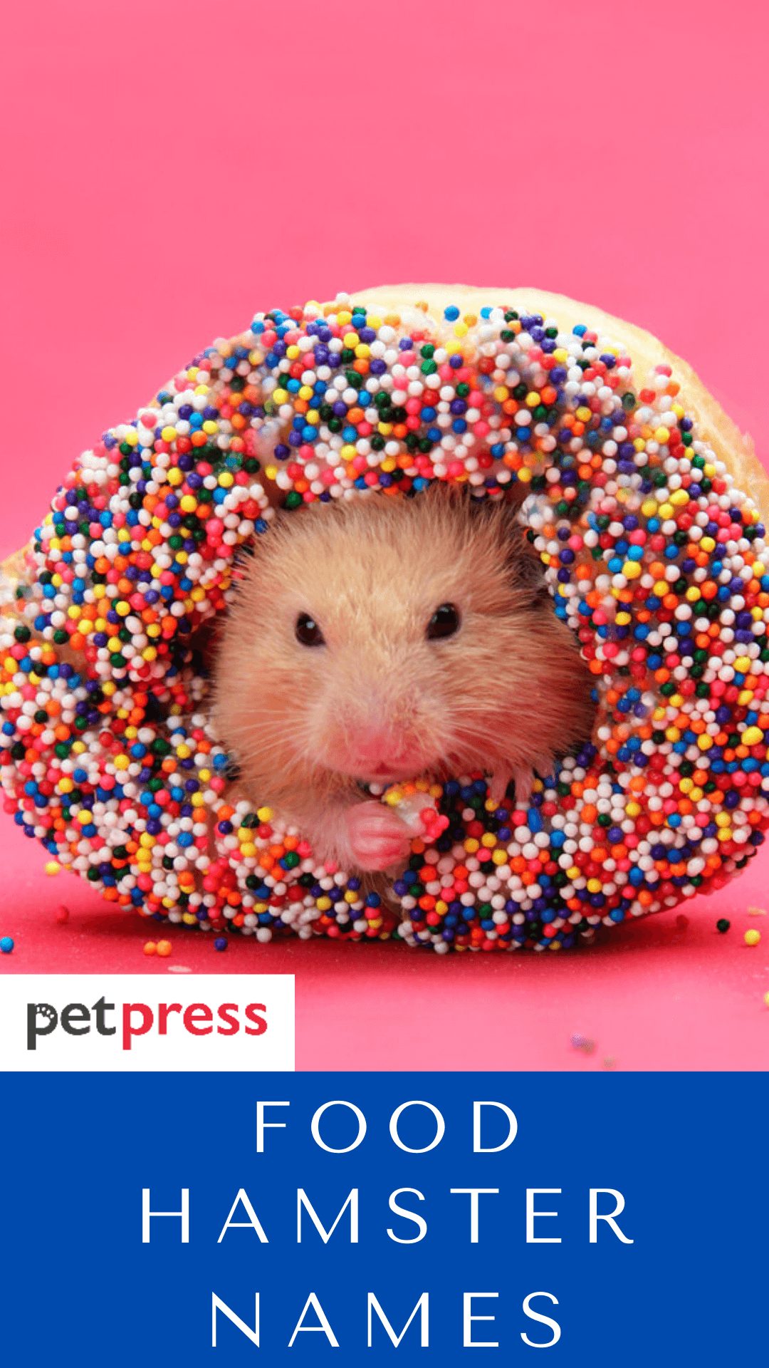 food-hamster-names