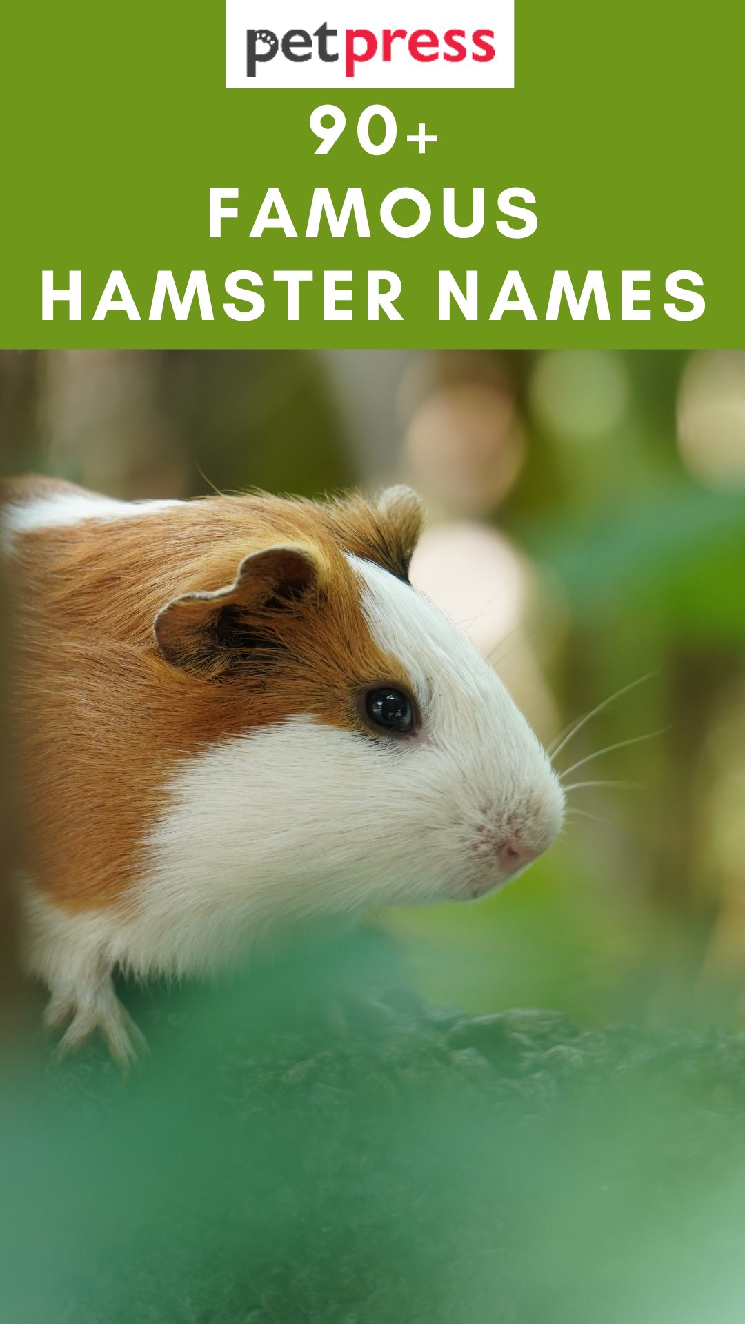 famous-hamster-names