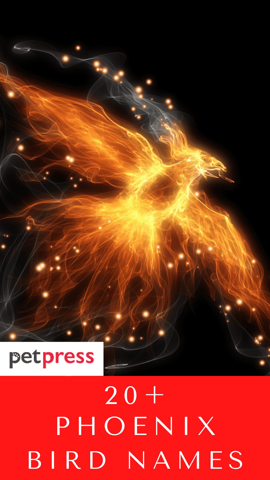 phoenix-bird-names