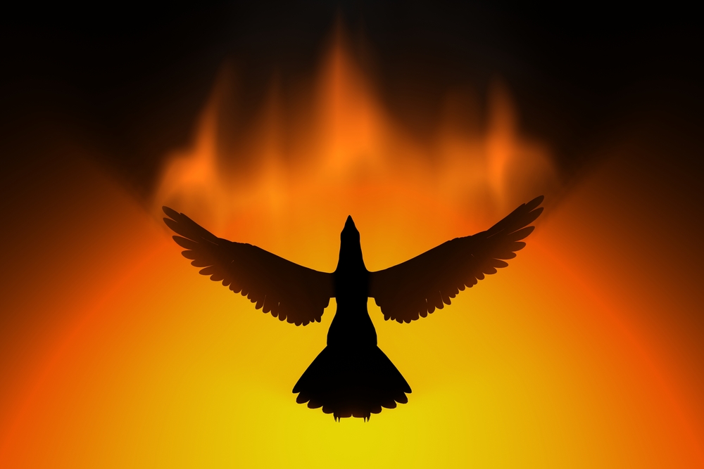 female-phoenix-bird-names