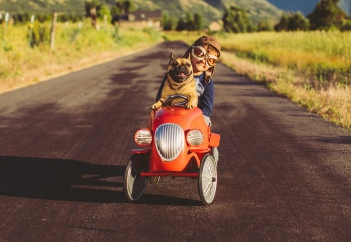Race Car Dog Names