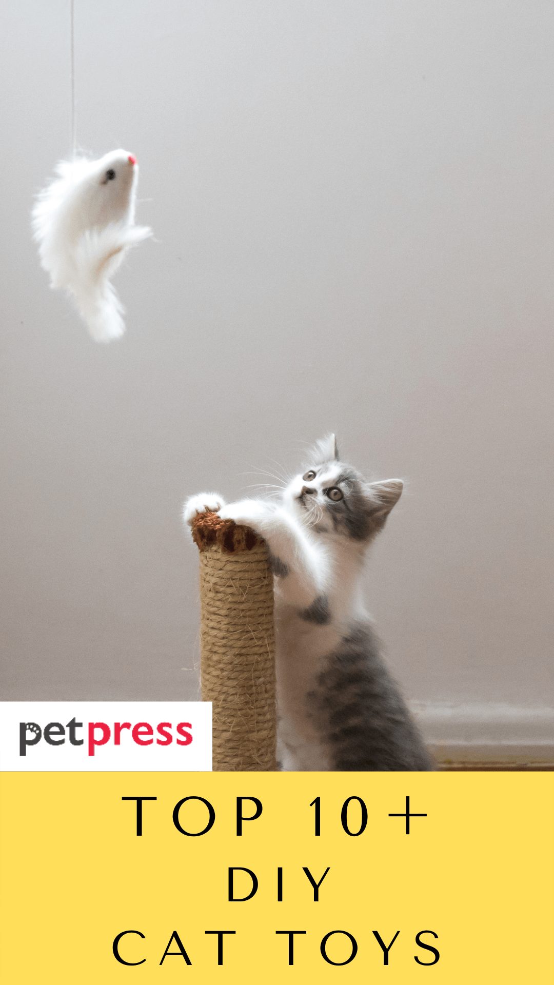 cat-toys