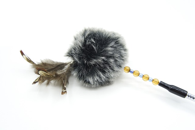 feather-wand