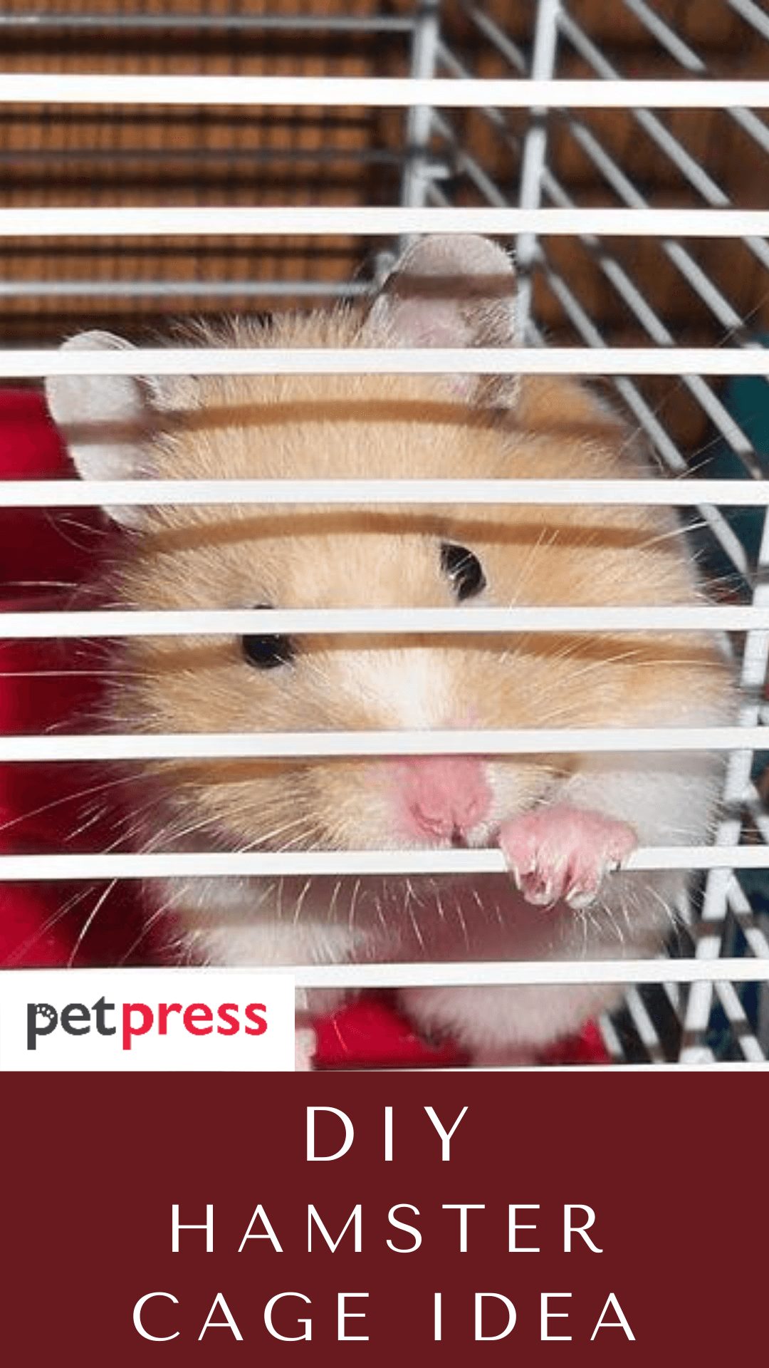 diy-hamster-cage