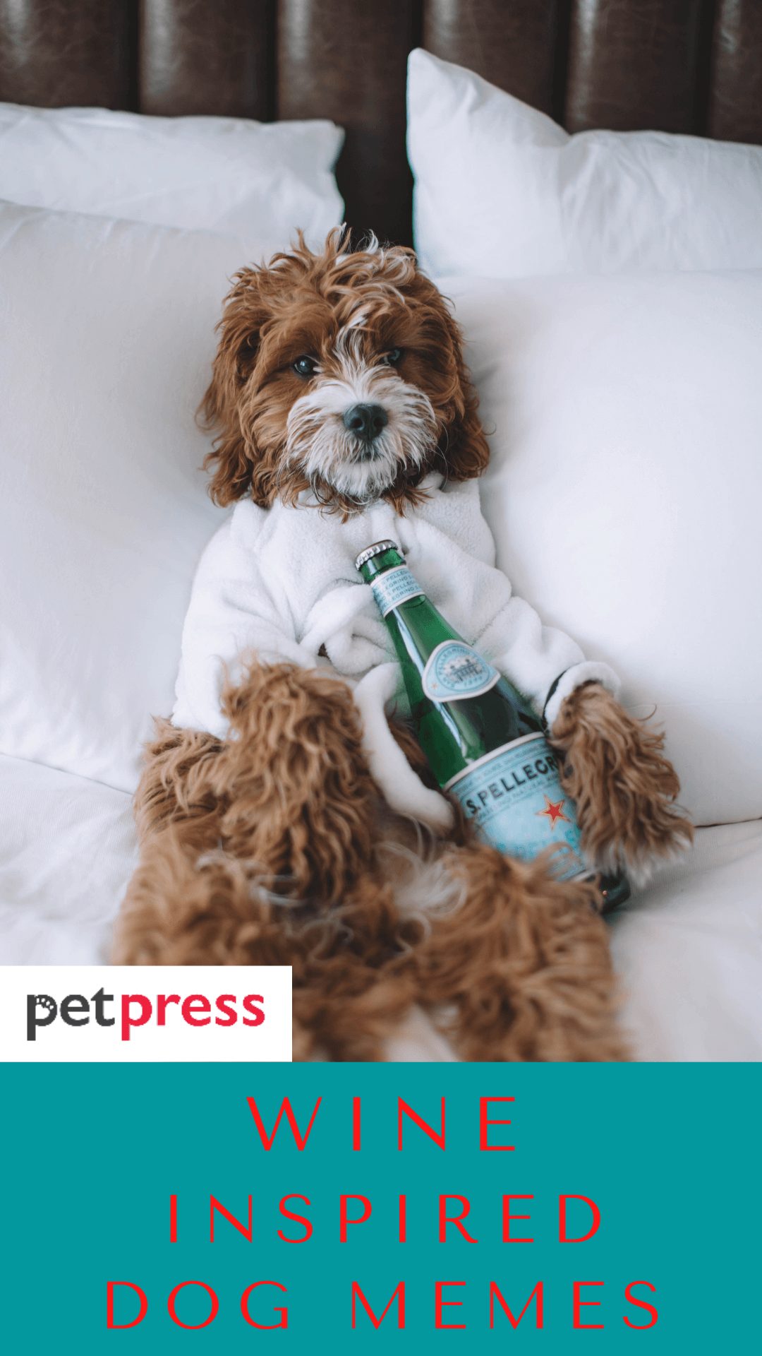 wine-dog-names