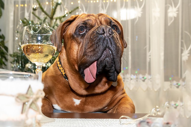 male-wine-dog-names