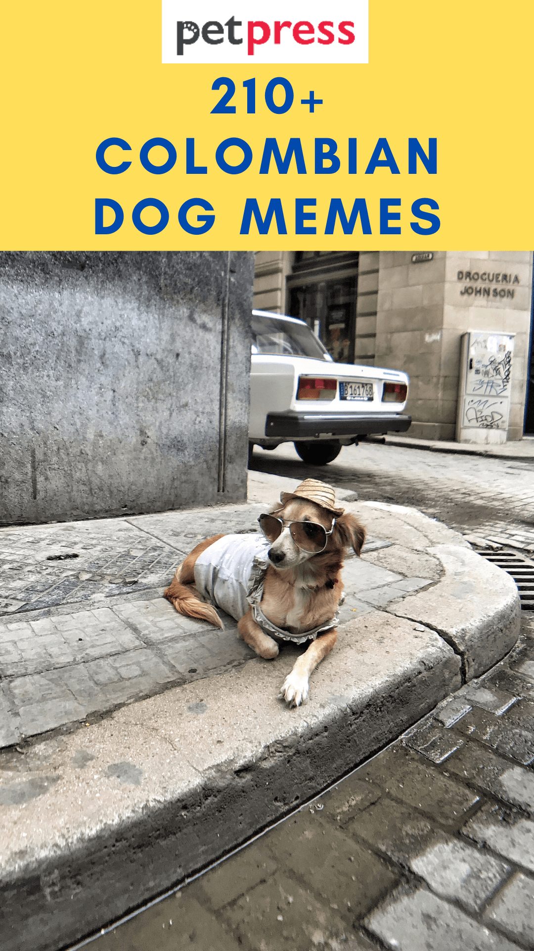 colombian-dog-names