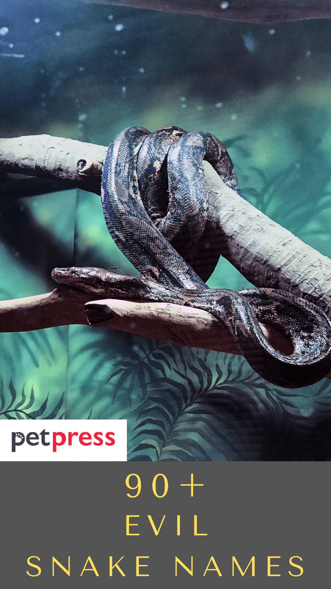 evil-snake-names